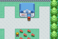 口袋妖怪叶绿中文珍藏版(图4) 口袋妖怪叶绿中文珍藏版(图4)