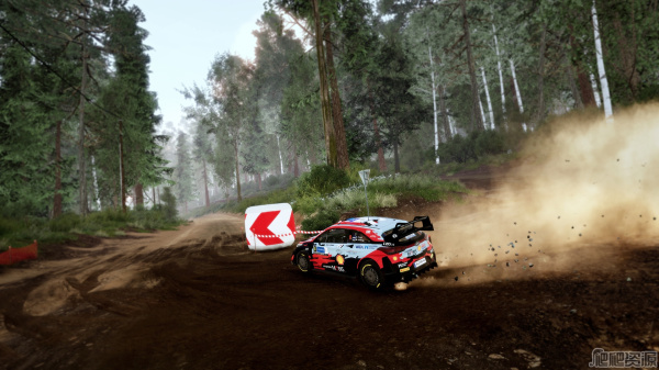 世界汽车拉力锦标赛10(图4)