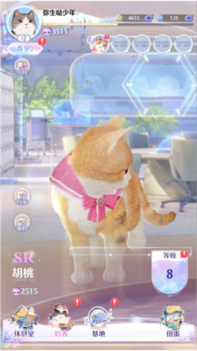 超喵星计划(图3) 超喵星计划(图3)