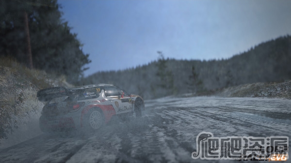 勒布EVO拉力赛(图4)
