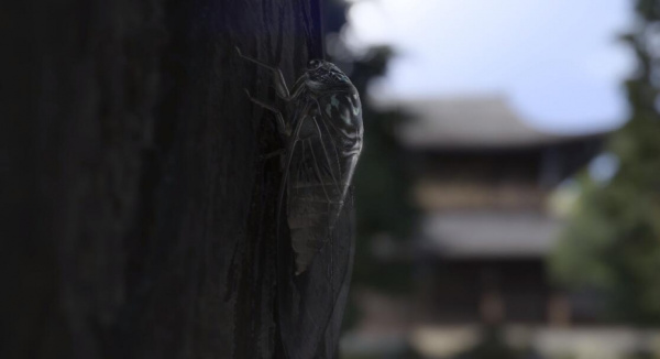 如龙7外传：无名之龙(图1)