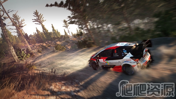 世界汽车拉力锦标赛8(图4) 世界汽车拉力锦标赛8(图4)
