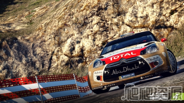 世界汽车拉力锦标赛4(图6)