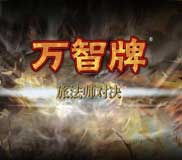 万智牌：旅法师对决