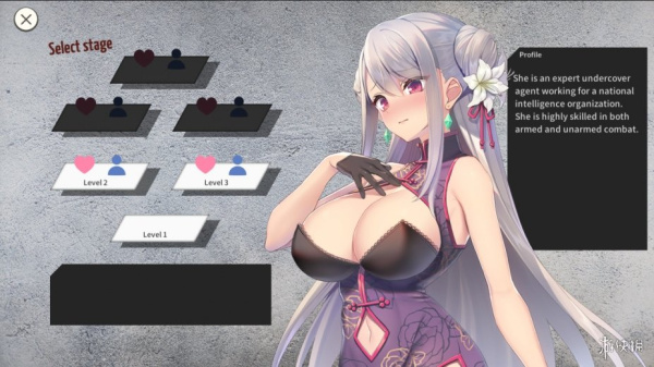 卧底女特工(图1) 卧底女特工(图1)