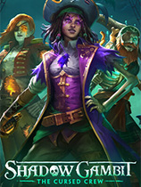 影子诡局：被诅咒的海盗