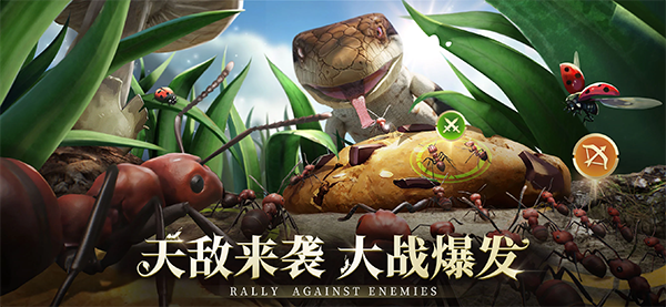 小小蚁国国际版(The Ants)